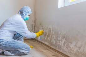 Mold Documentation for Insurance Claims in West Pittston, PA